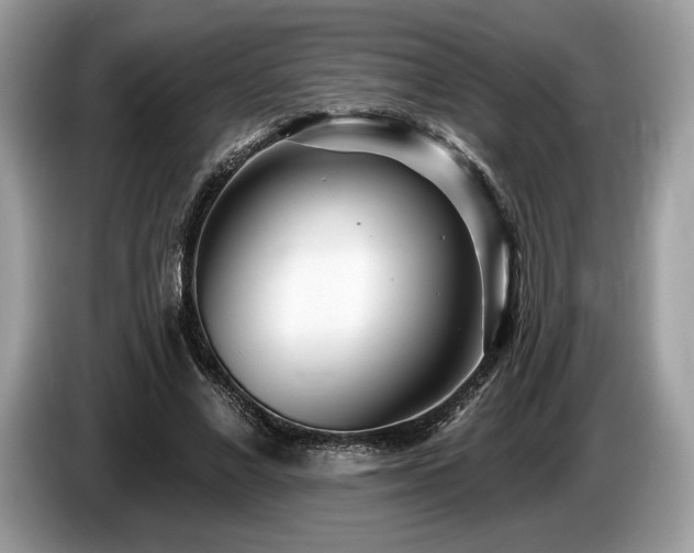 X0000087510685200704271123
