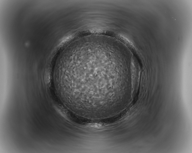 X0000087510687200704271123