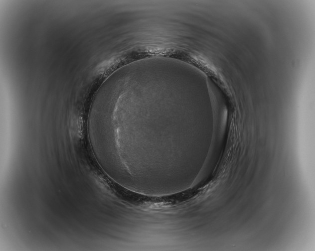 X0000087510689200704271123