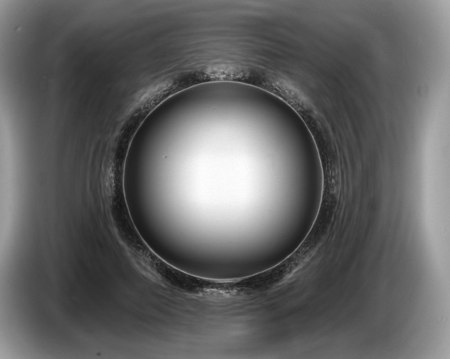 X0000087510690200704271123