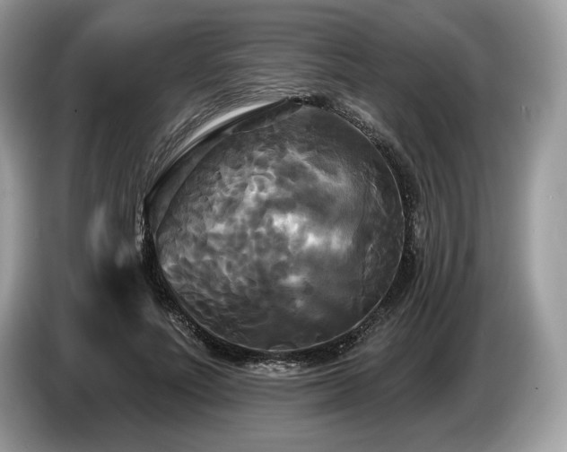 X0000087510691200704271123