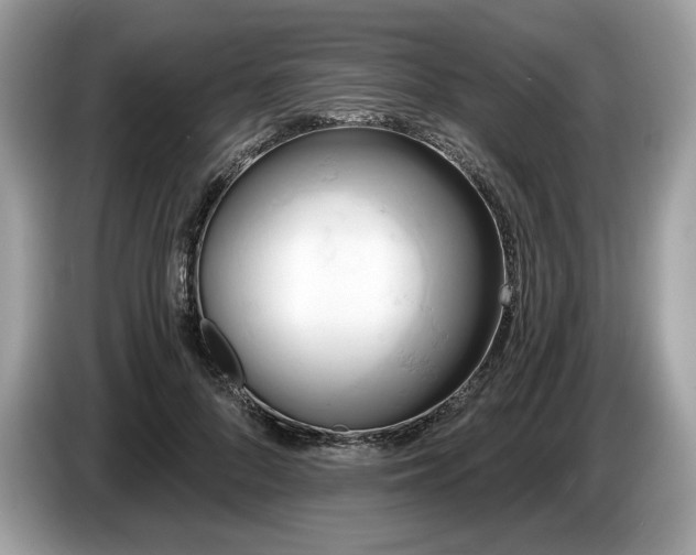 X0000087510696200704271123
