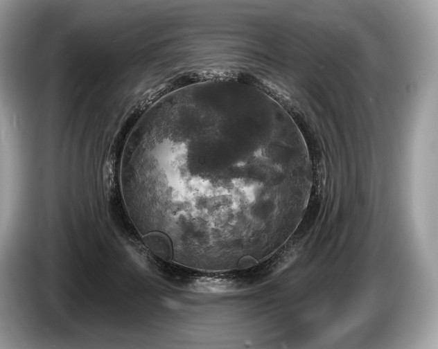 X0000087510699200704271123