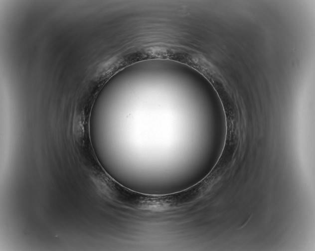 X0000087510702200704271123