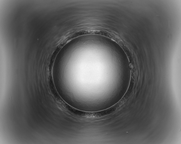 X0000087510704200704271123