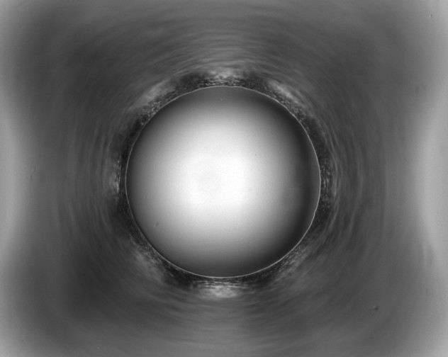 X0000087510710200704271123