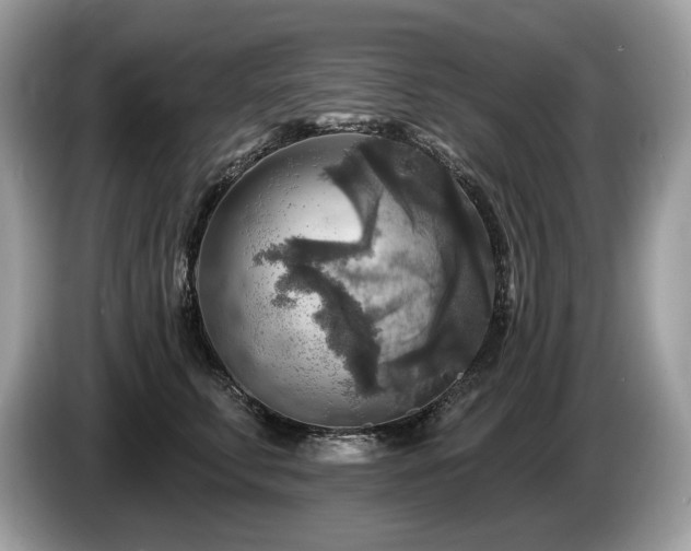 X0000087510711200704271123