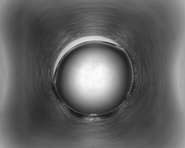 X0000087510712200704271123