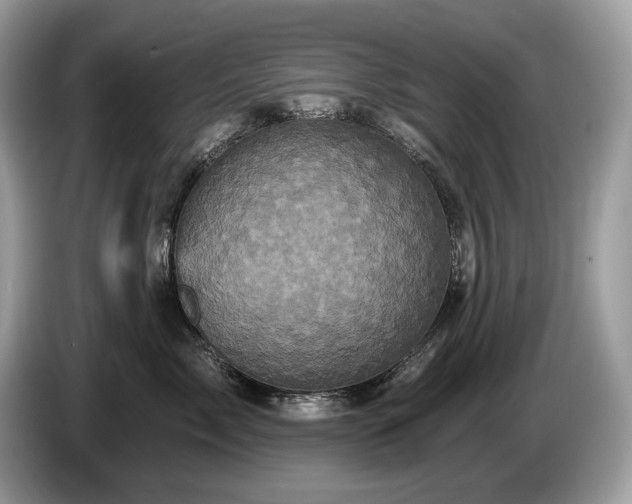 X0000087510717200704271123