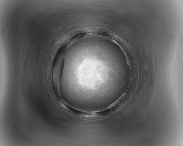X0000087510720200704271122