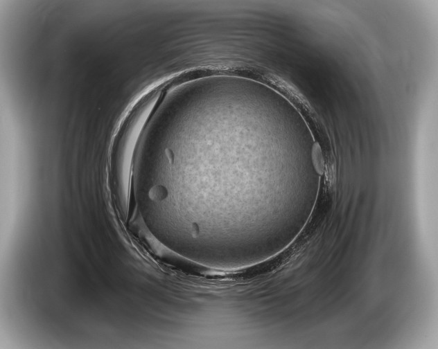 X0000087510724200704271122