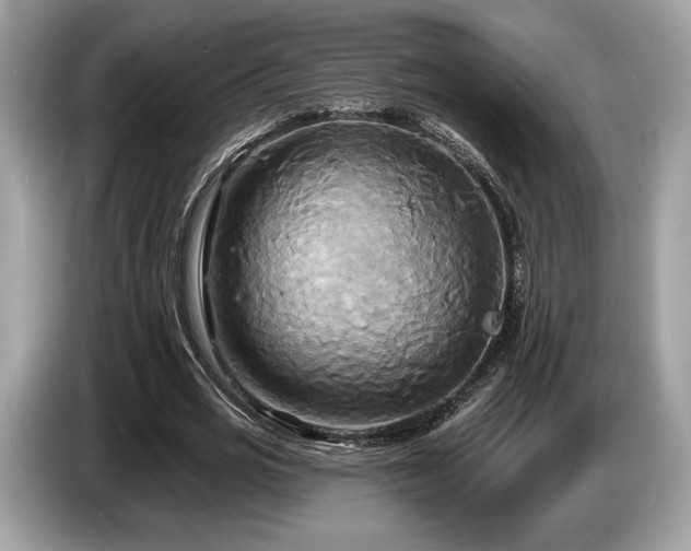 X0000087510725200704271122