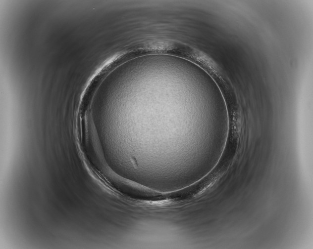 X0000087510726200704271122