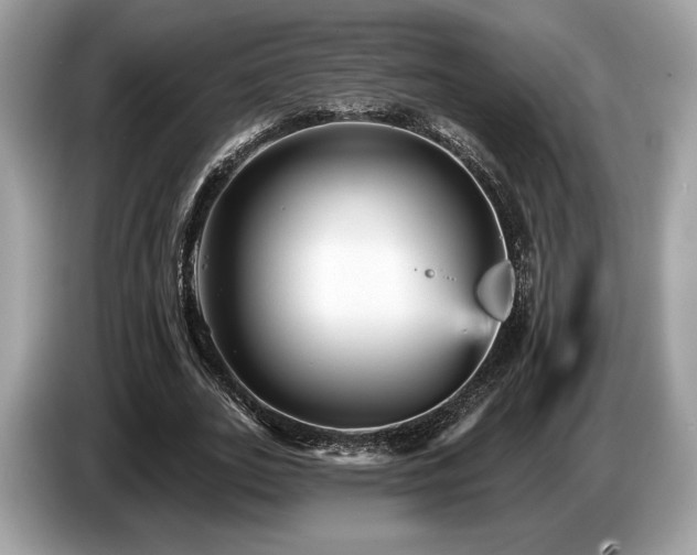 X0000087510727200704271122
