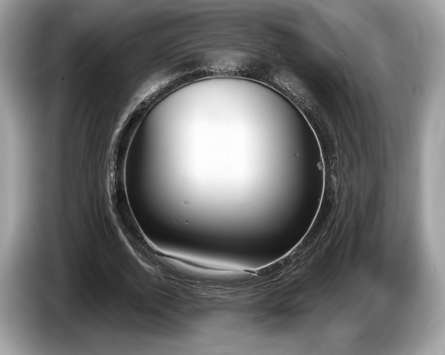 X0000087510728200704271122