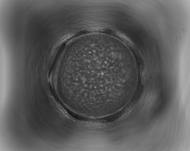 X0000087510729200704271122