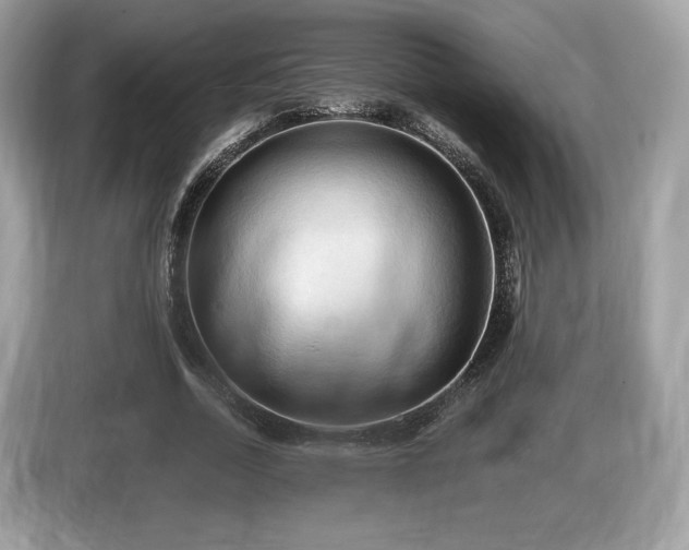 X0000087510730200704271122