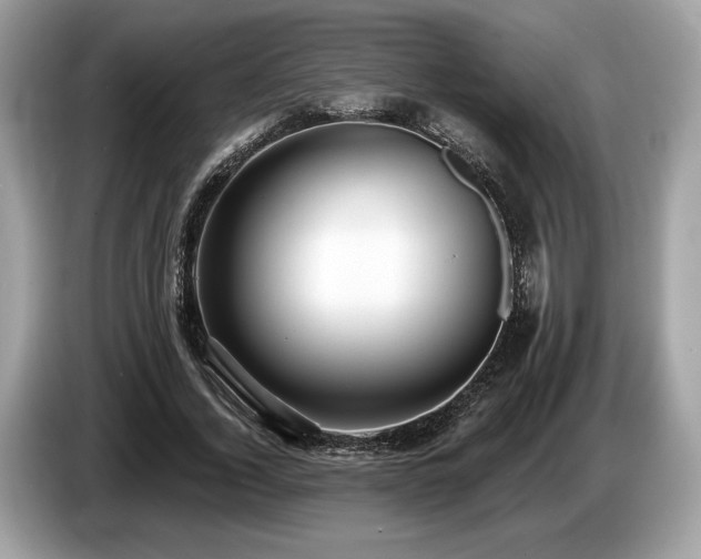 X0000087510732200704271122