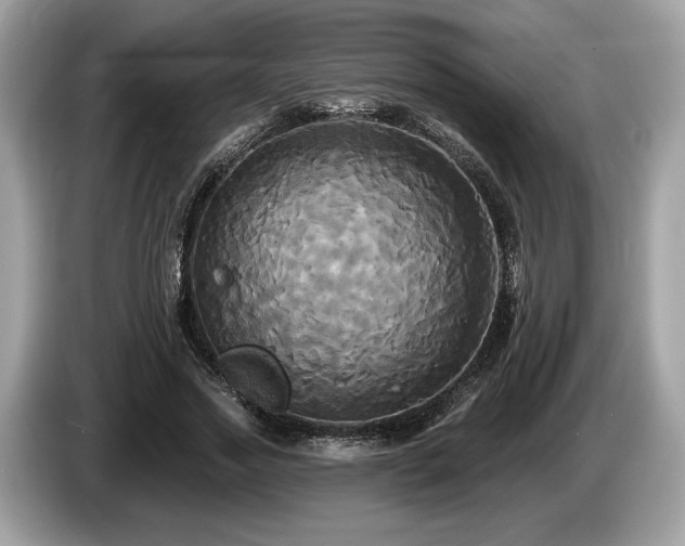 X0000087510733200704271122