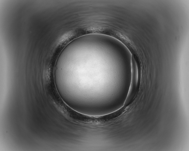 X0000087510735200704271122