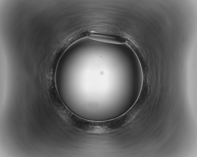 X0000087510737200704271122