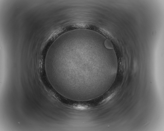 X0000087510739200704271122