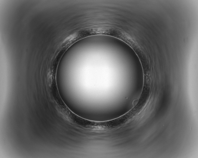 X0000087510741200704271122