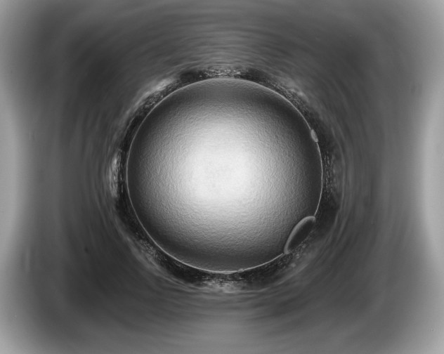 X0000087510742200704271122