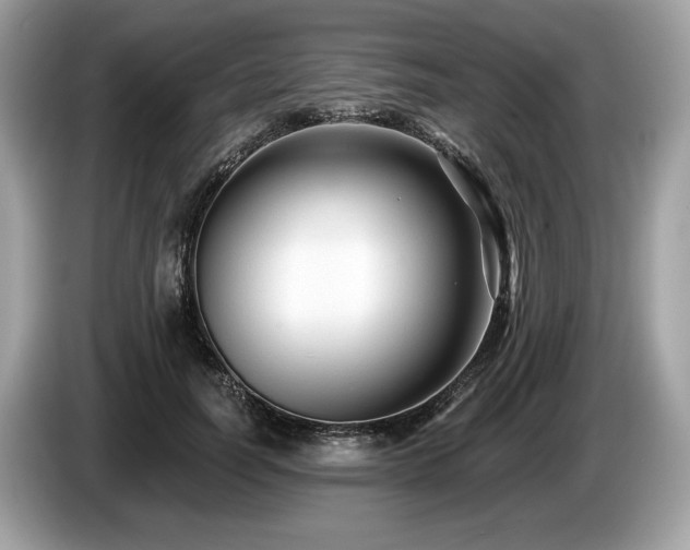 X0000087510746200704271122