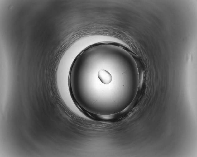 X0000087510750200704271122