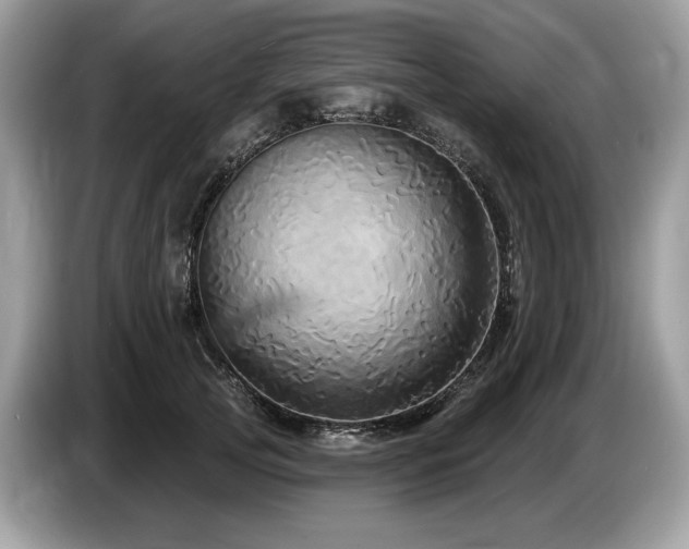 X0000087510753200704271122