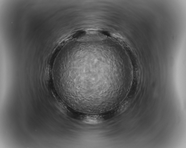 X0000087510757200704271122