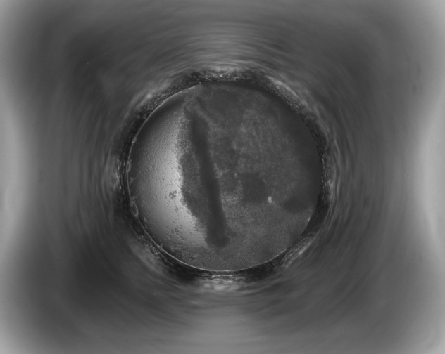 X0000087510758200704271122