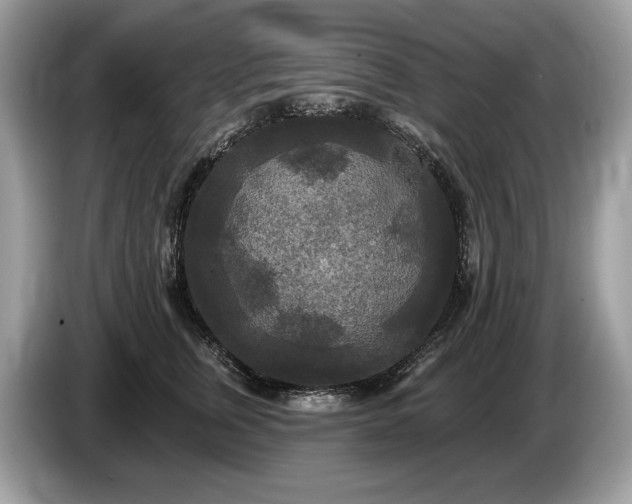 X0000087510759200704271122