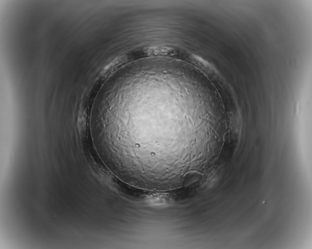 X0000087510761200704271122