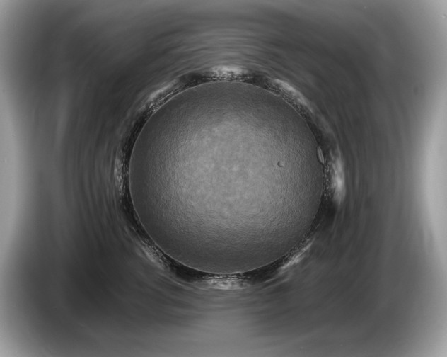 X0000087510762200704271122