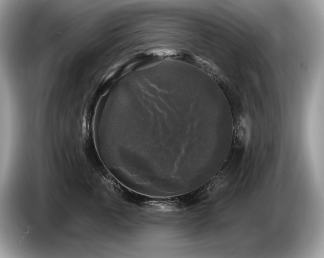 X0000087510763200704271122