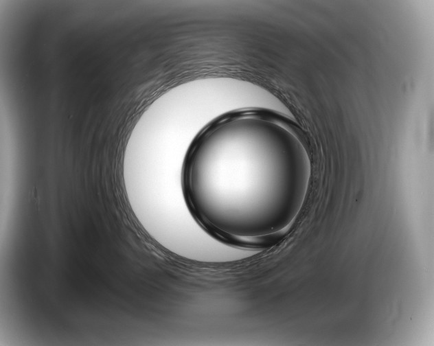 X0000087510768200704271122