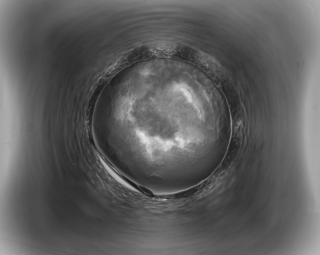 X0000087510772200704271122