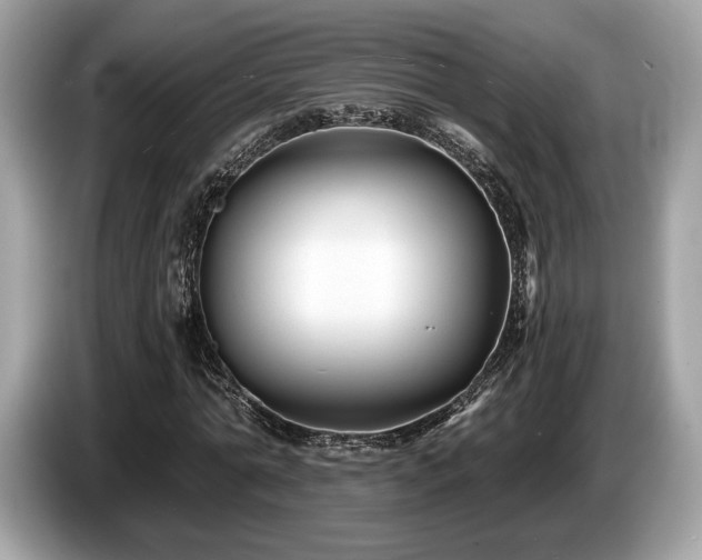X0000087510774200704271122