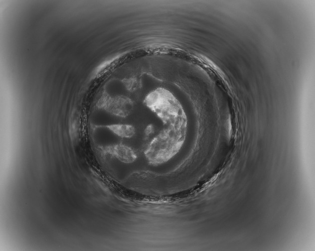 X0000087510775200704271122