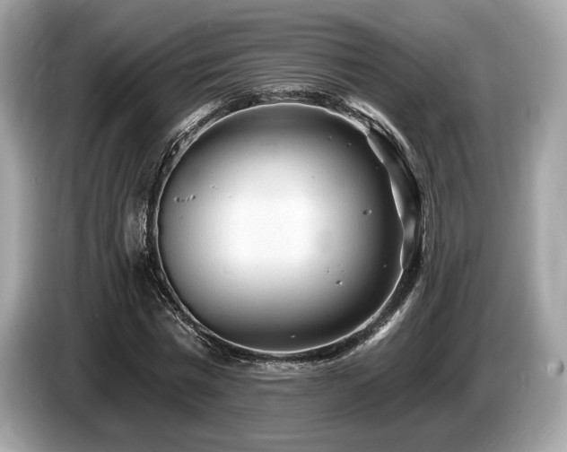 X0000087510777200704271122