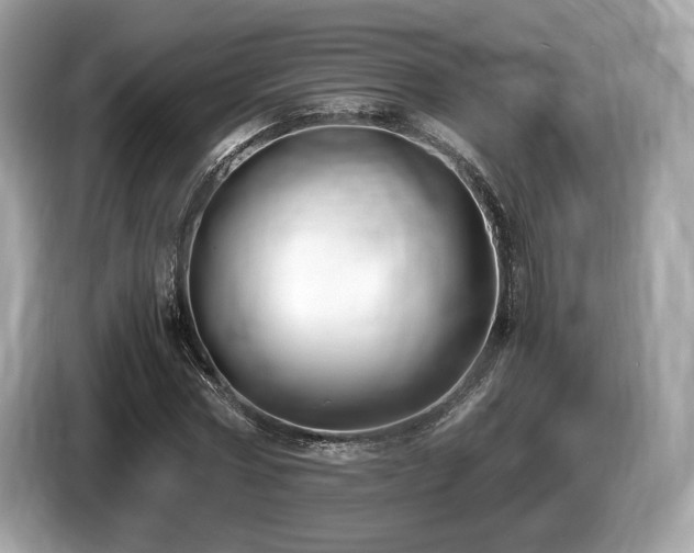 X0000087510778200704271122