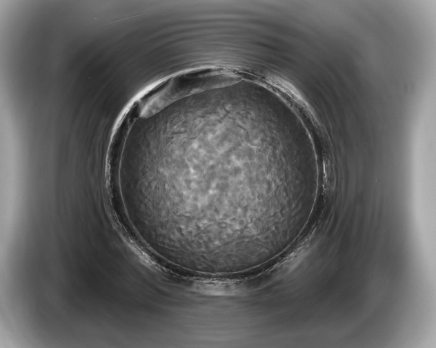X0000087510780200704271122
