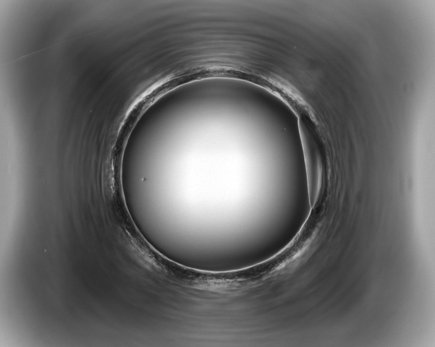 X0000087510782200704271122