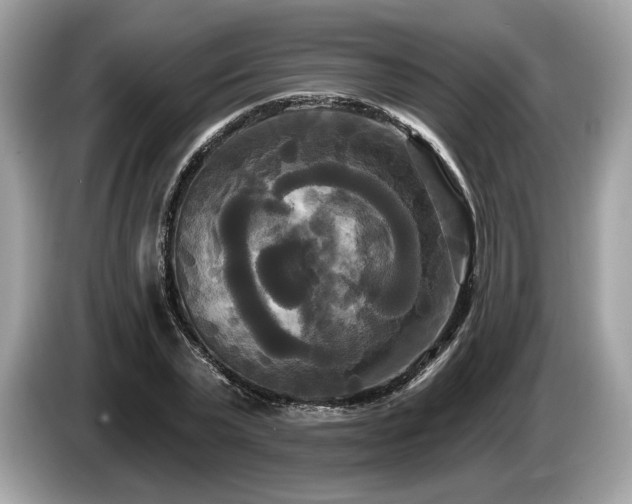 X0000087510783200704271122