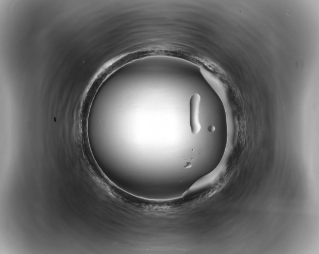X0000087510784200704271122