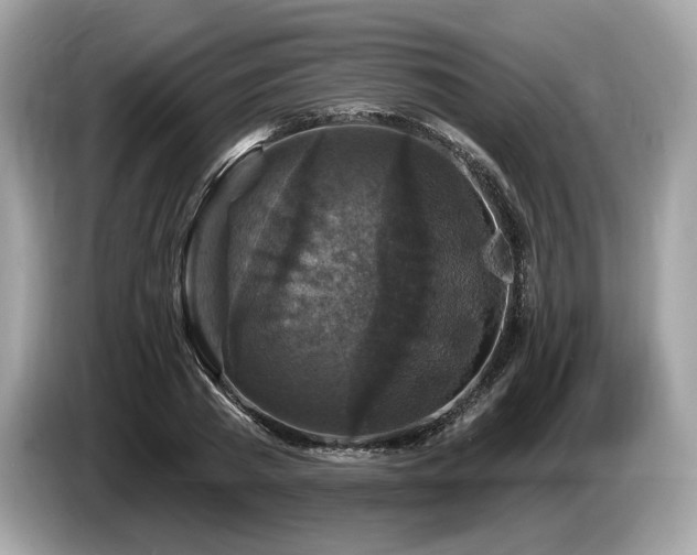 X0000087510785200704271122