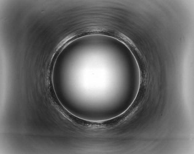 X0000087510786200704271122