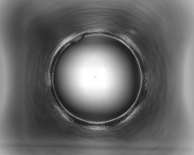 X0000087510789200704271122